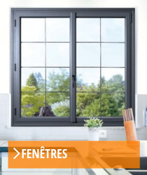 fenêtres noir en pvc